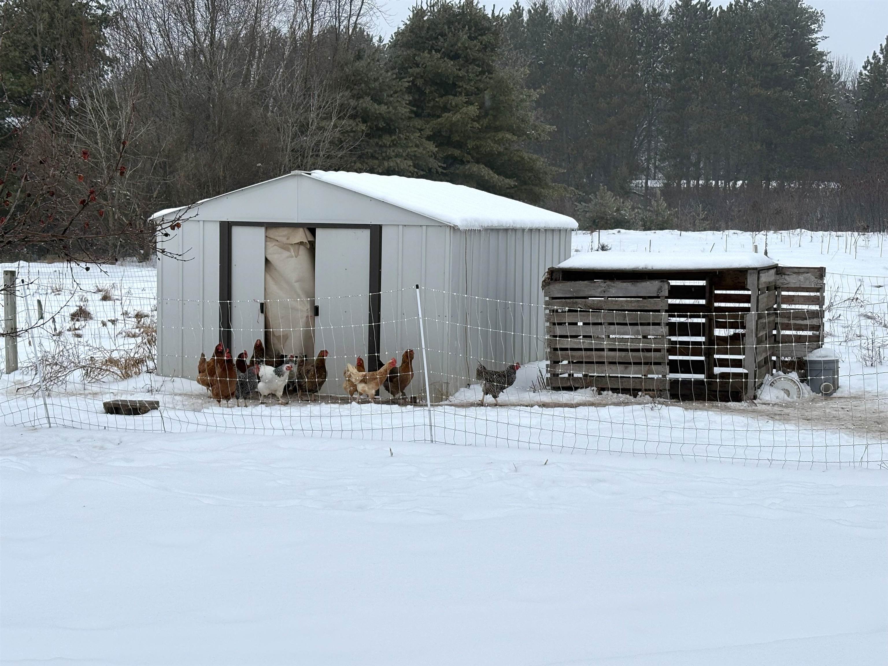 11690 Highway 32 Suring, WI 54174 - Photo 11 of 13