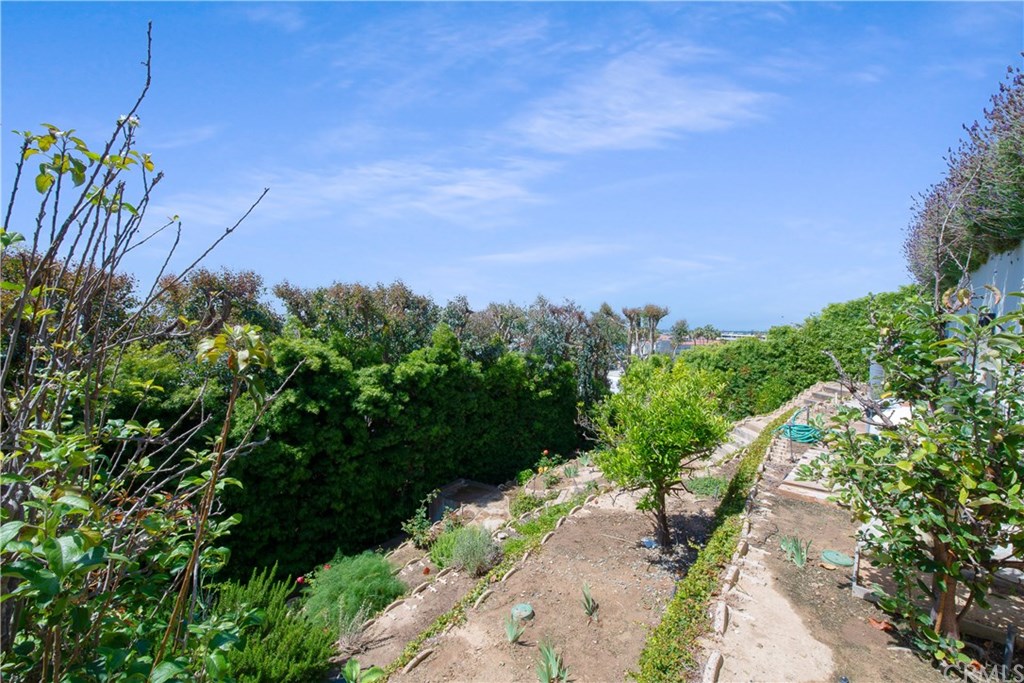 911 Kings Road Newport Beach, CA 92663 - Photo 45 of 47 a view of a garden with plants