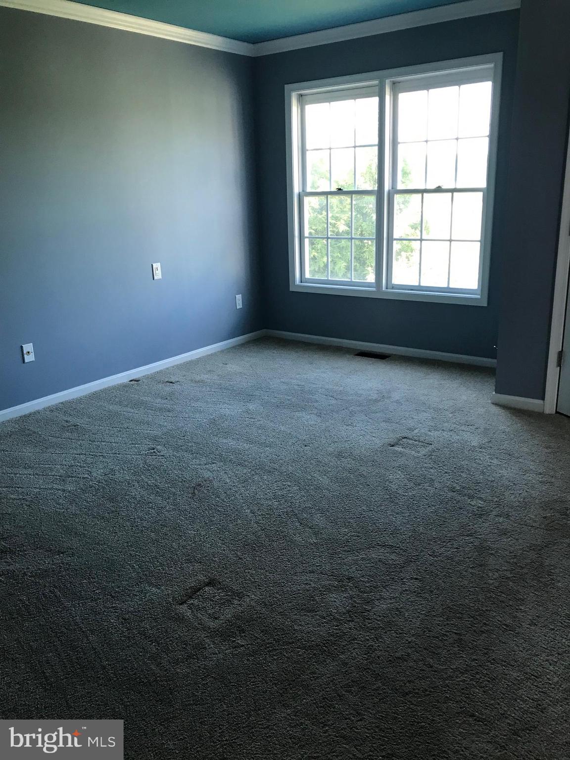 341 Ruthsburg Road Centreville, MD 21617 - Photo 16 of 28 Primary Bedroom