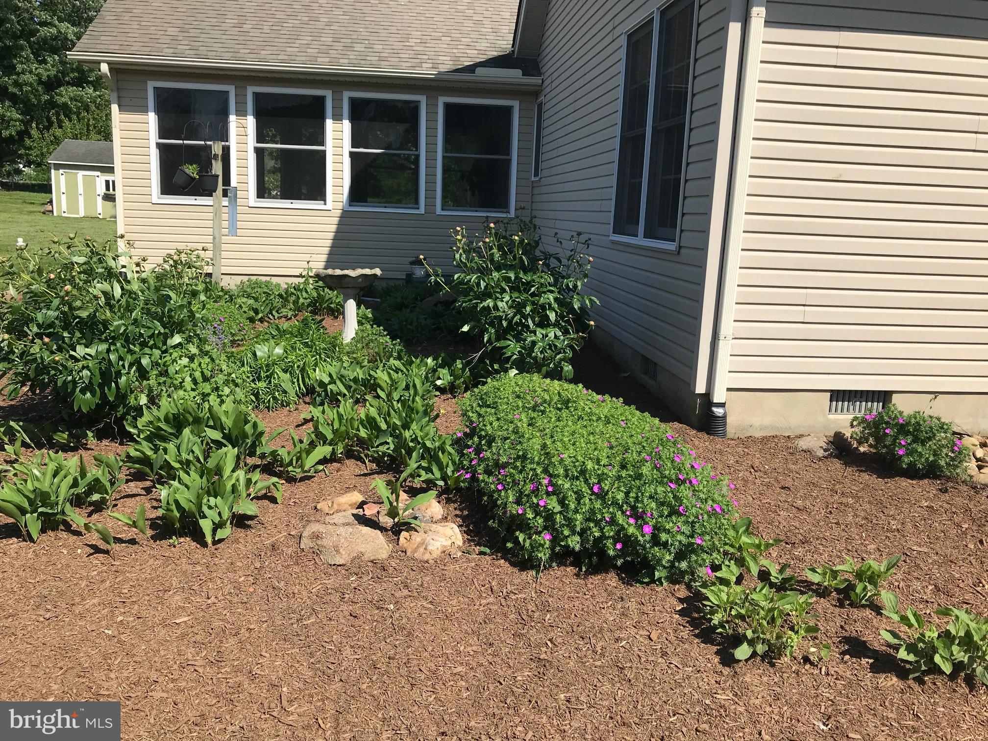341 Ruthsburg Road Centreville, MD 21617 - Photo 27 of 28 Beautiful gardens on back of Family R.
