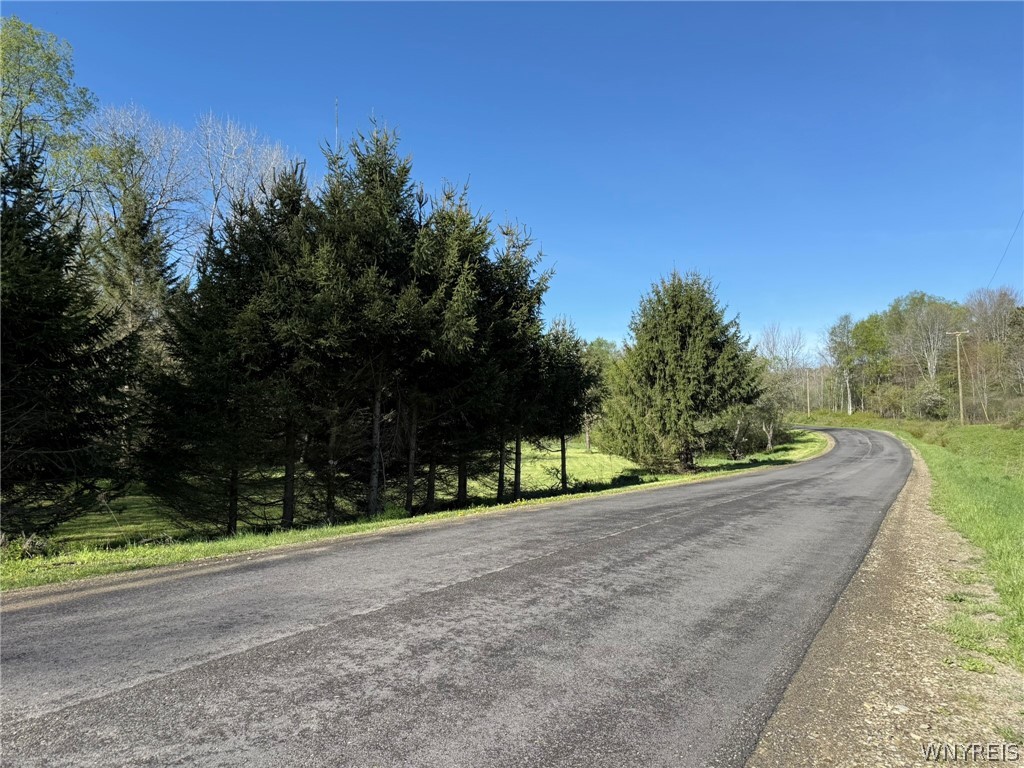 3137 Bear Creek Road Machias, NY 14737 - Photo 2 of 50