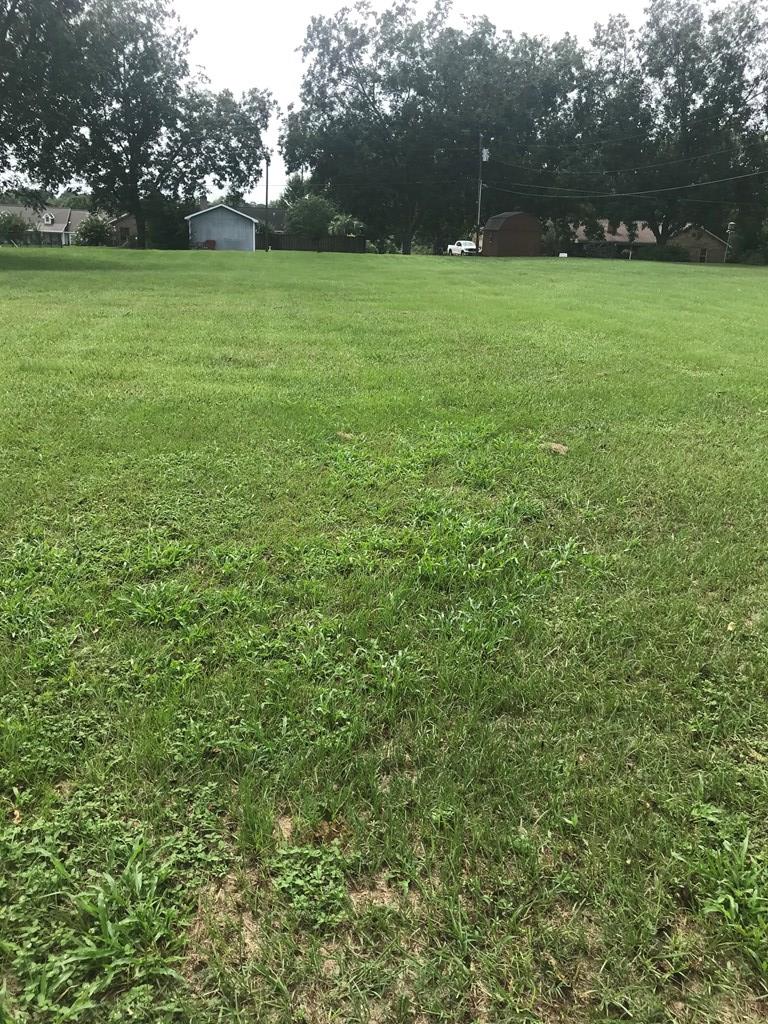 0 North Bay Springs Road Dothan, AL 36303 - Photo 2 of 2