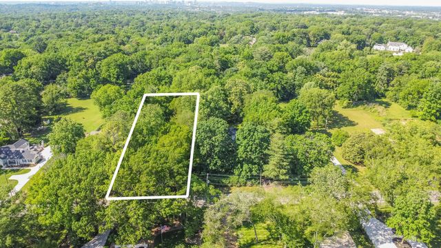 a view of a yard with plants