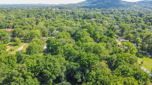 a view of a lush green forest with trees and some houses