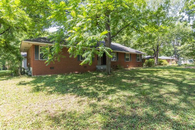 a backyard of a house with plants and large tree