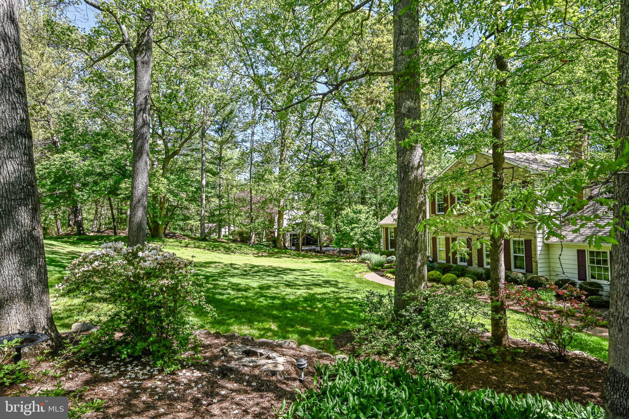 11730 Quay Road Oakton, VA 22124 - Photo 2 of 58 NATURE AT ITS BEST!!!