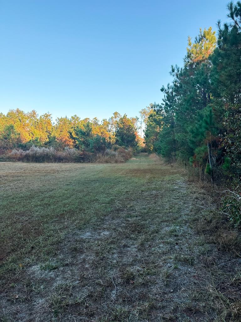 0 Porter Road Lake Park, GA 31636 - Photo 16 of 33 Gallery Image 16