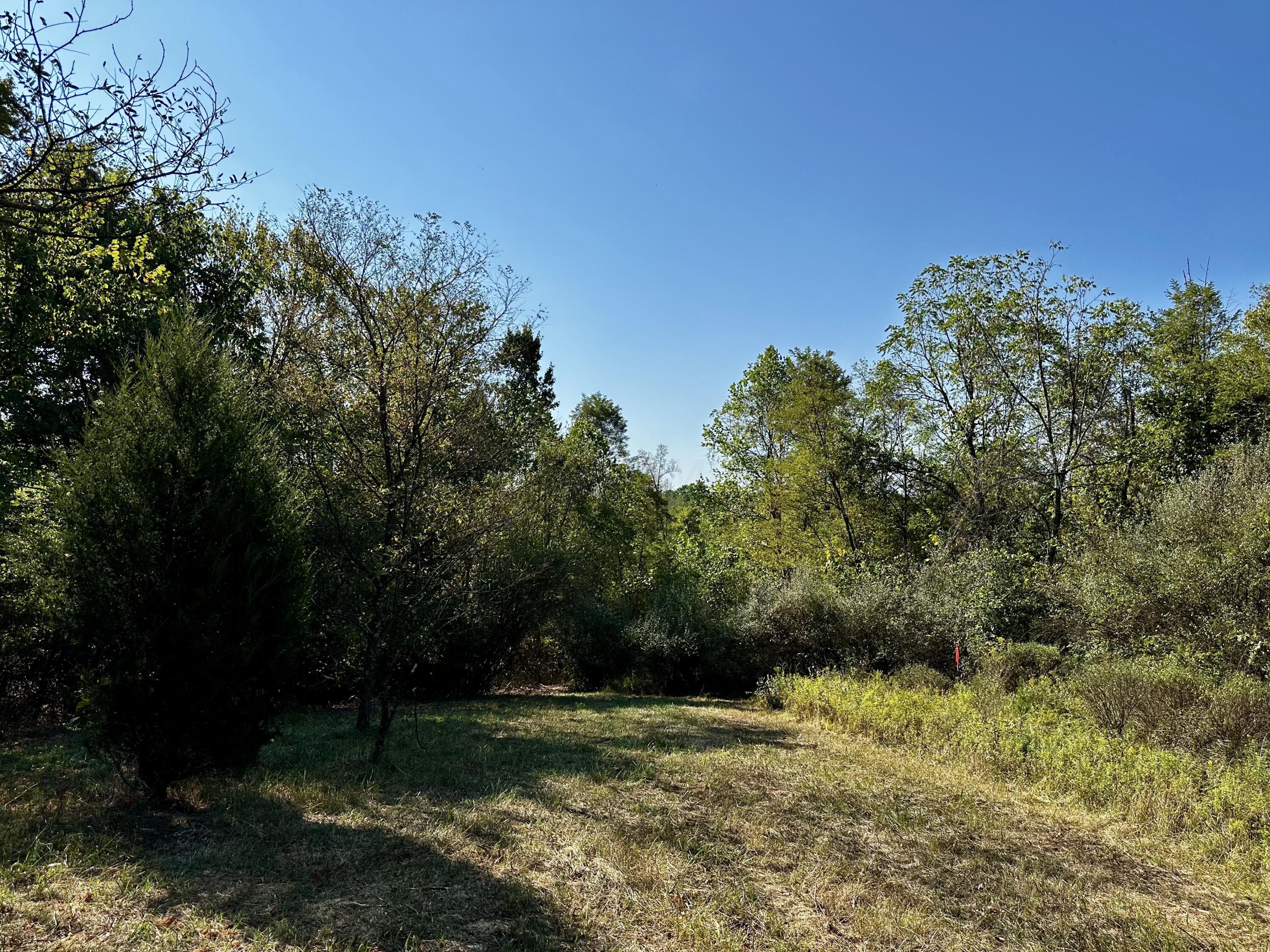 0 Dutch Ridge Road, Unit TRACT 5 AT DUTCH RIDGE) New Straitsville, OH 43766 - Photo 16 of 49 20240920_143317361_iOS