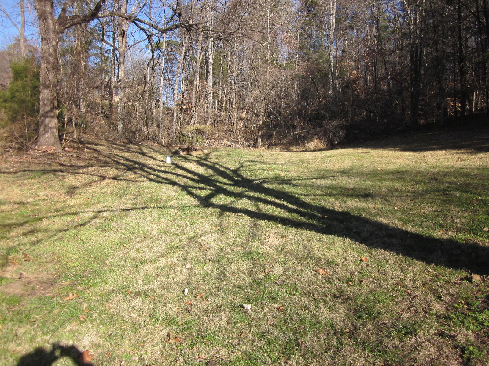 1885 Old Forge Road Callaway, VA 24067 - Photo 39 of 48 a view of a yard with an trees