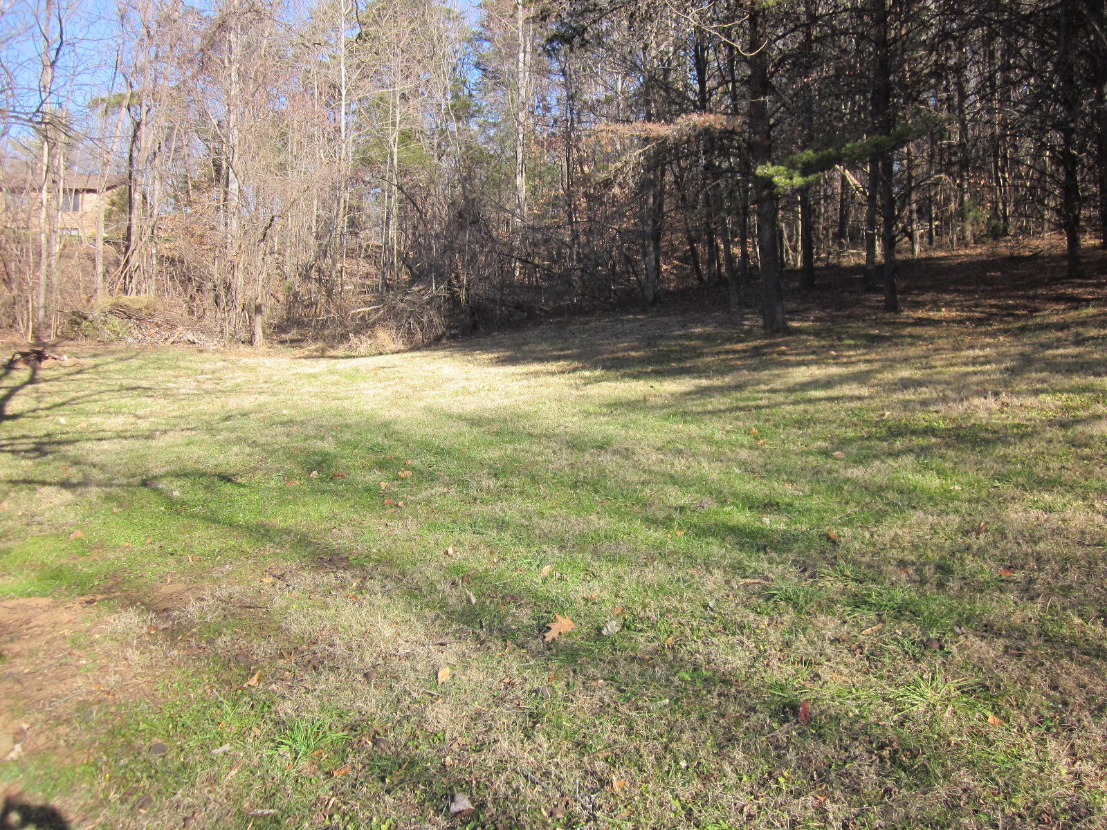 1885 Old Forge Road Callaway, VA 24067 - Photo 40 of 48 a view of a yard with large trees