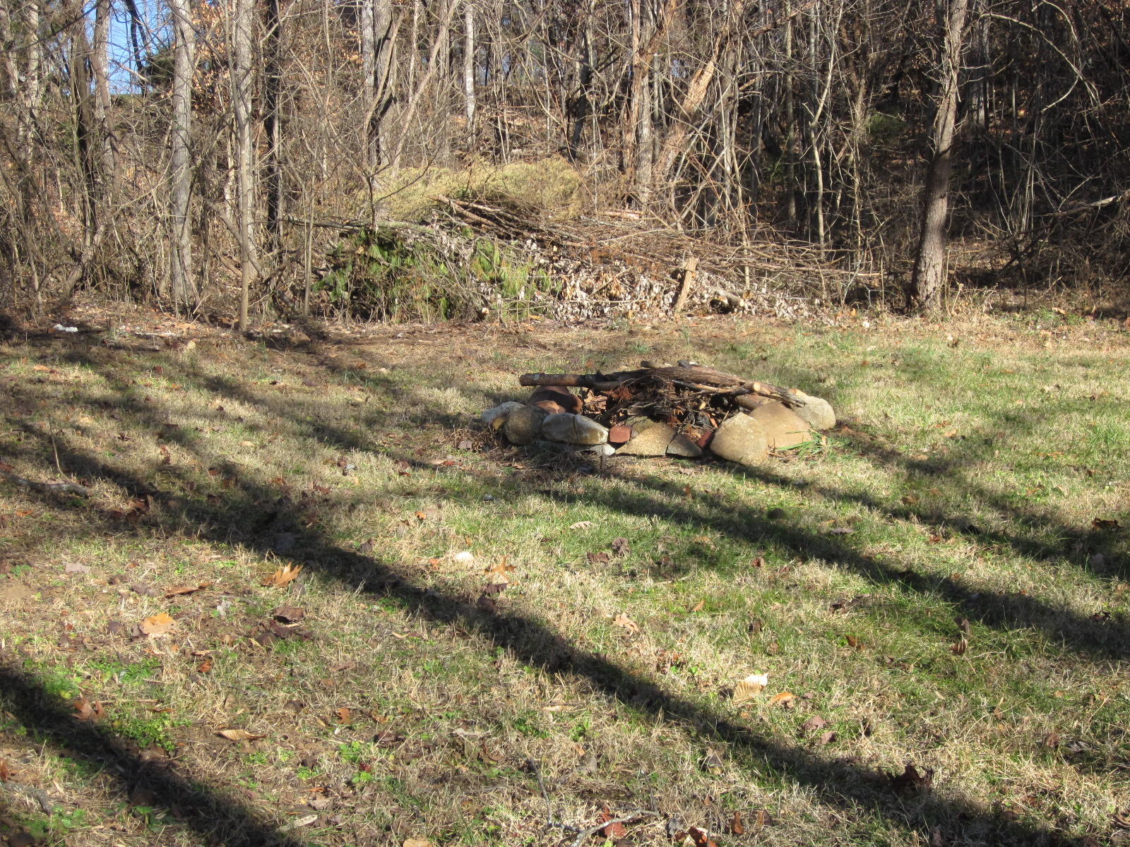 1885 Old Forge Road Callaway, VA 24067 - Photo 41 of 48 a view of a yard with trees