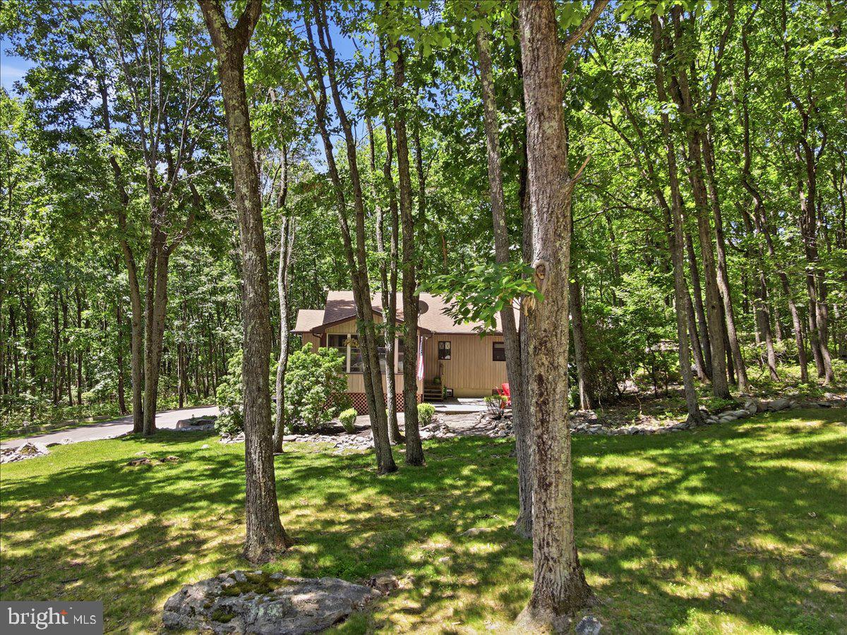 177 Jay Effort, PA 18330 - Photo 45 of 47 Charming retreat nestled in nature.