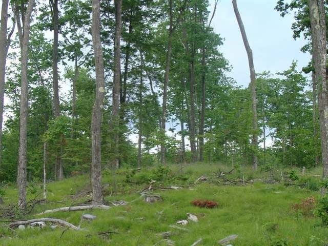 30-ac Goodnow Road Harshaw, WI 54529 - Photo 6 of 15 Gallery Image 6
