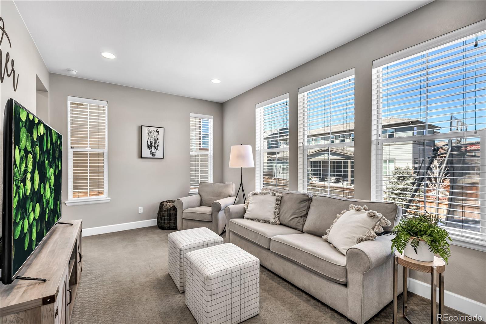 14619 Tango Loop Parker, CO 80134 - Photo 16 of 36