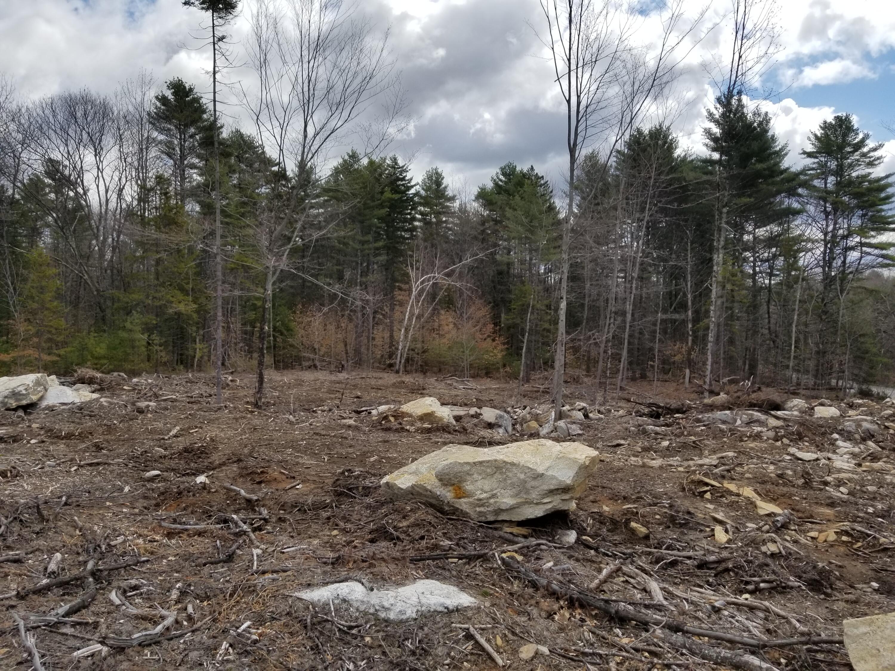 Lot #1 Durham Road Brunswick, ME 04011 - Photo 1 of 1 20180501_110051