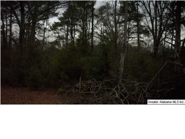 Peaceful Valley Road, Unit 38 5 Eastaboga, AL 36260 - Photo 8 of 11