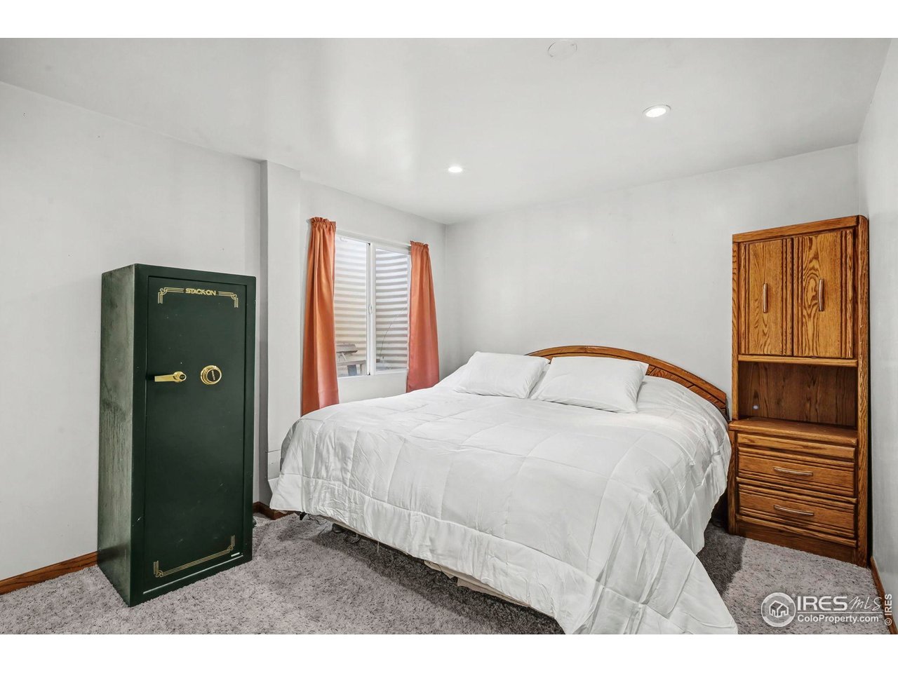 705 2nd Street Frederick, CO 80530 - Photo 24 of 40 Finished basement perfect for guests.