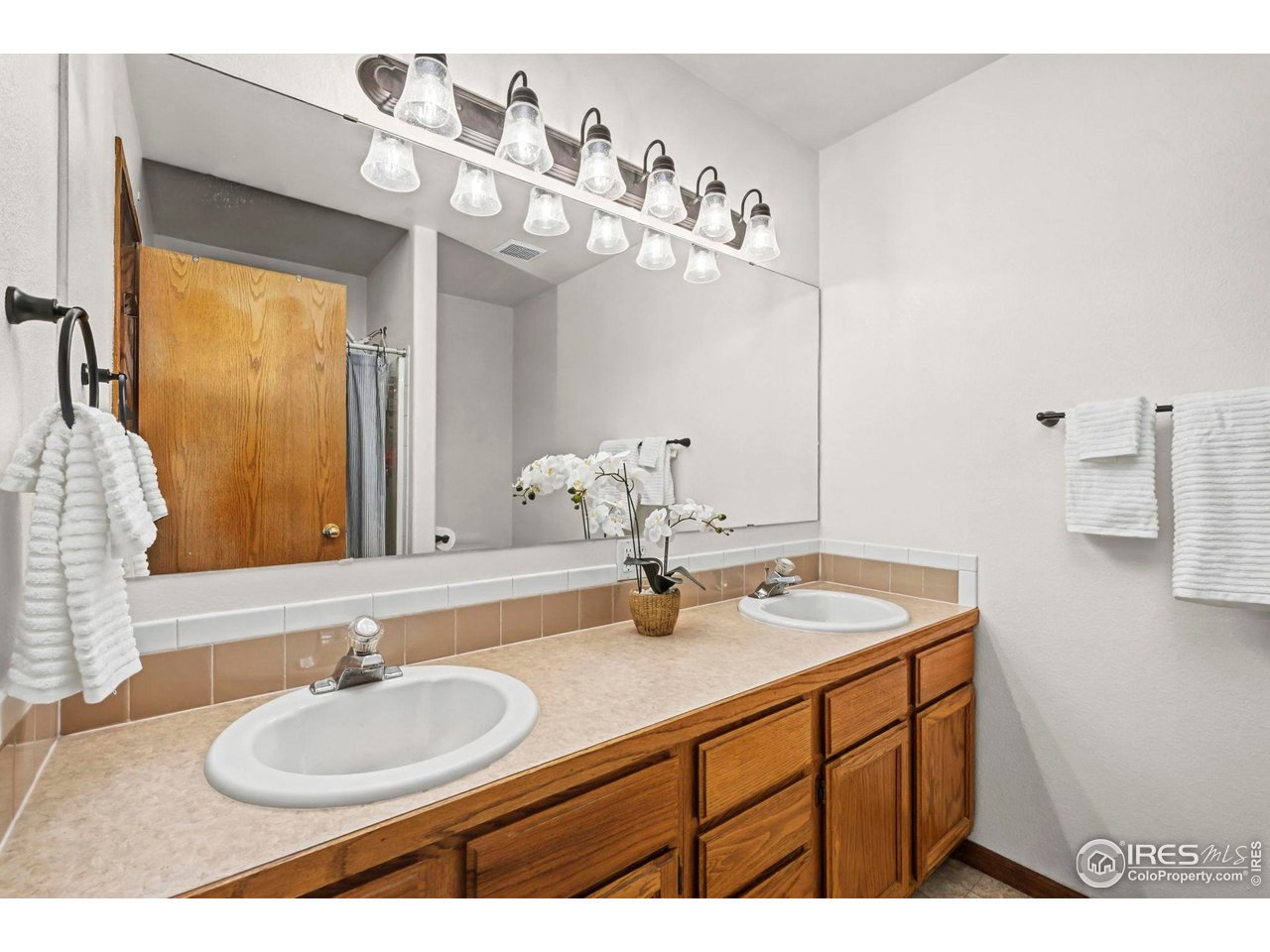 705 2nd Street Frederick, CO 80530 - Photo 36 of 40 Primary bathroom