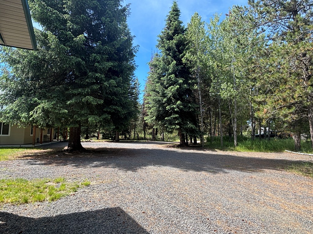 32 Shay Road Cascade, ID 83611 - Photo 40 of 40 Driveway