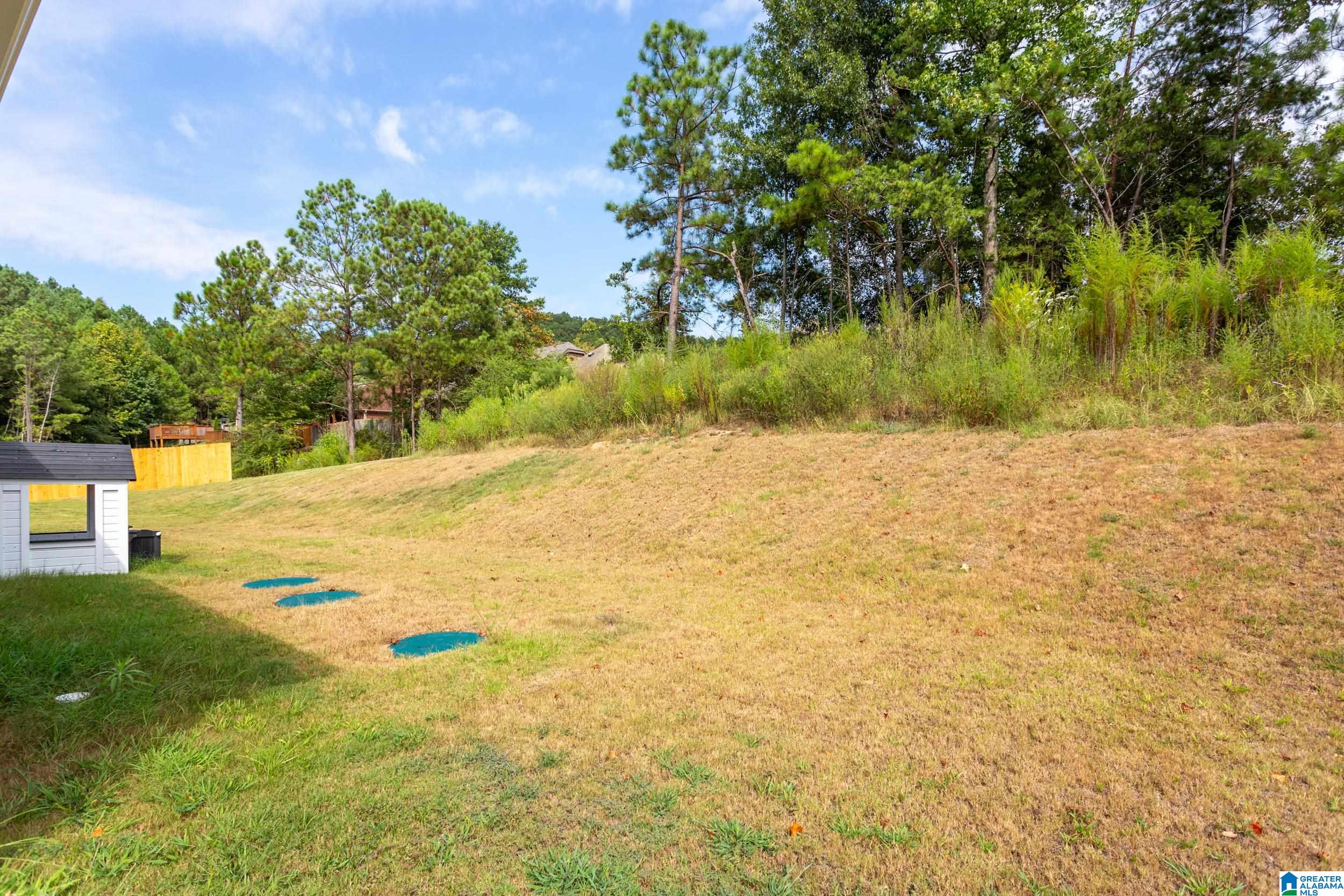 6981 Southern Trace Loop Leeds, AL 35094 - Photo 34 of 34