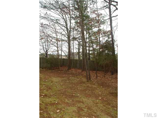 4203 Sunscape Lane Raleigh, NC 27613 - Photo 15 of 15 a picture of a small yard