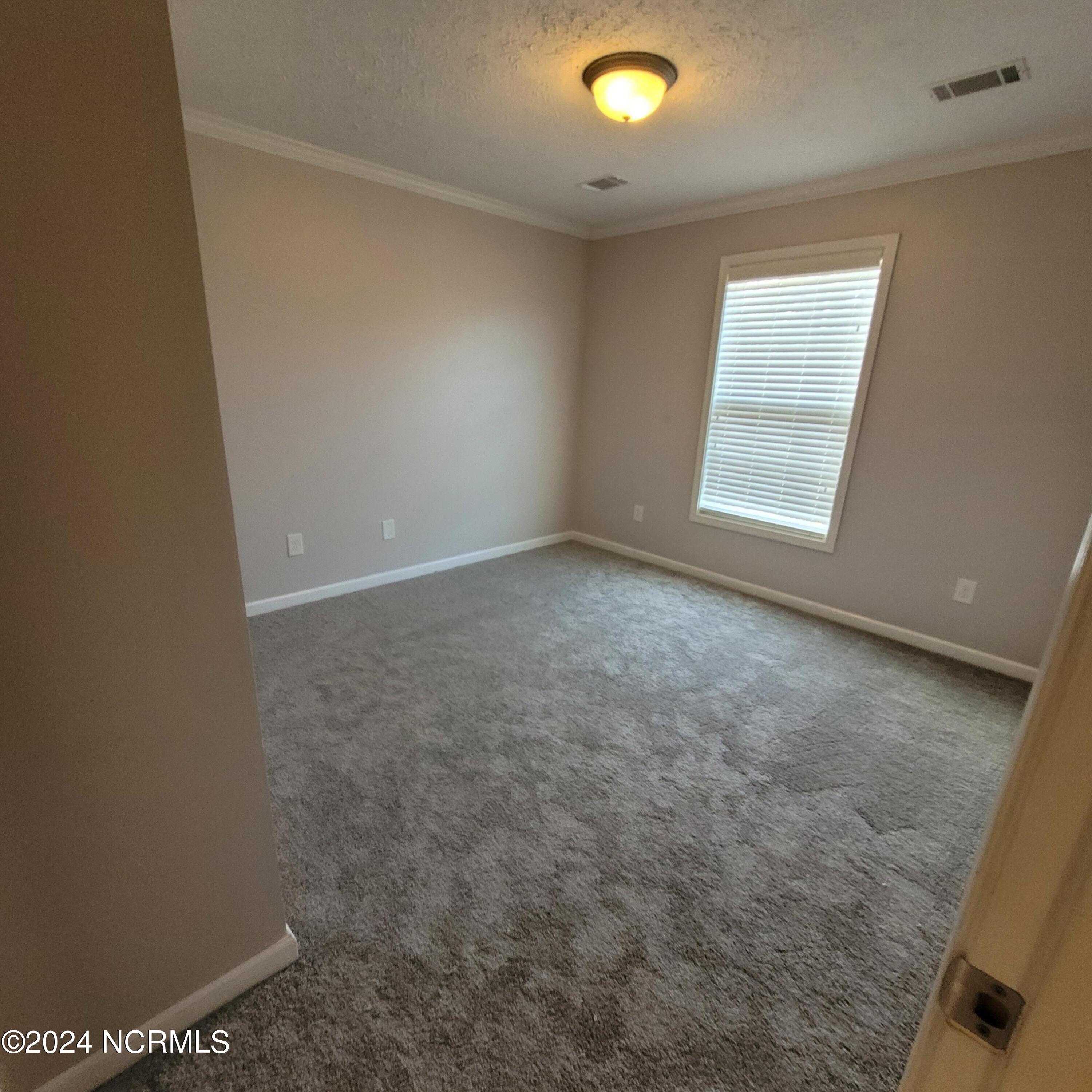 532 Pasture Branch Road Rose Hill, NC 28458 - Photo 17 of 20 20240204_153551 (1)