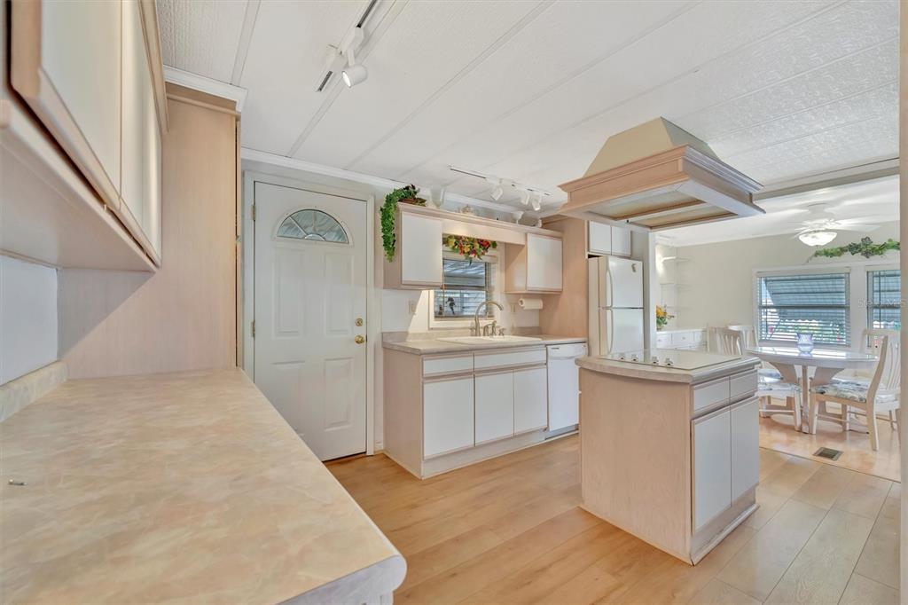 124 St Pierres Way Apollo Beach, FL 33572 - Photo 15 of 56