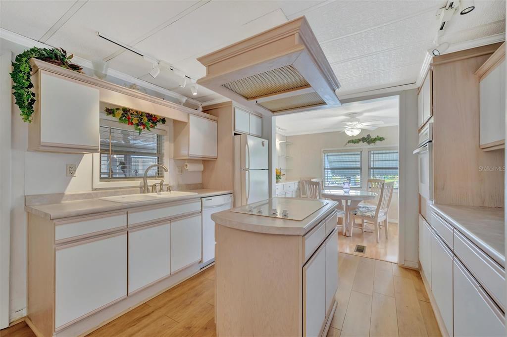 124 St Pierres Way Apollo Beach, FL 33572 - Photo 9 of 56 a kitchen with counter top space and sink