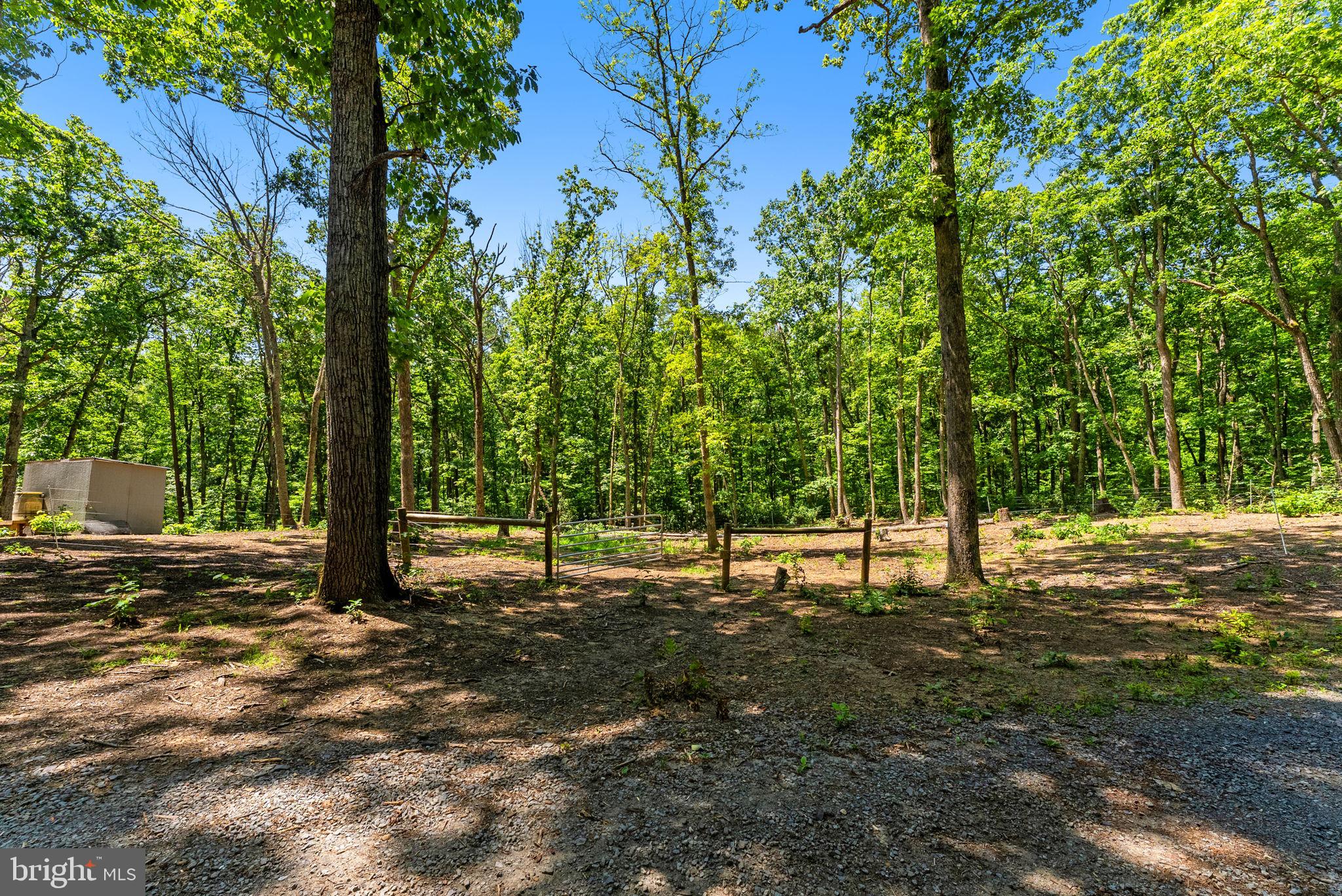10275 Mountain Run Lake Road Culpeper, VA 22701 - Photo 86 of 89