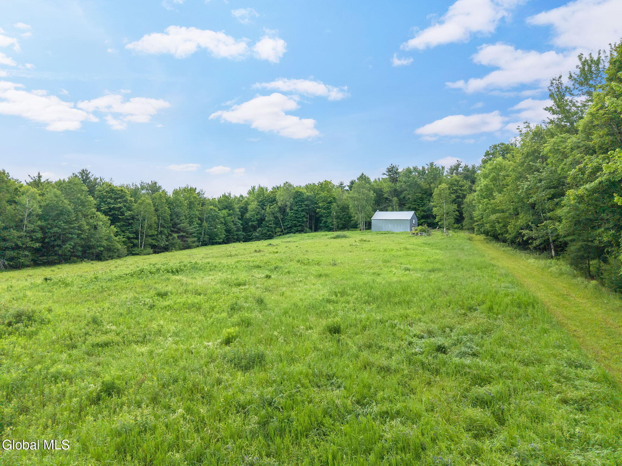 159 Ely Road Gilboa, NY 12076 - Photo 70 of 83 68-159ElyRd_68