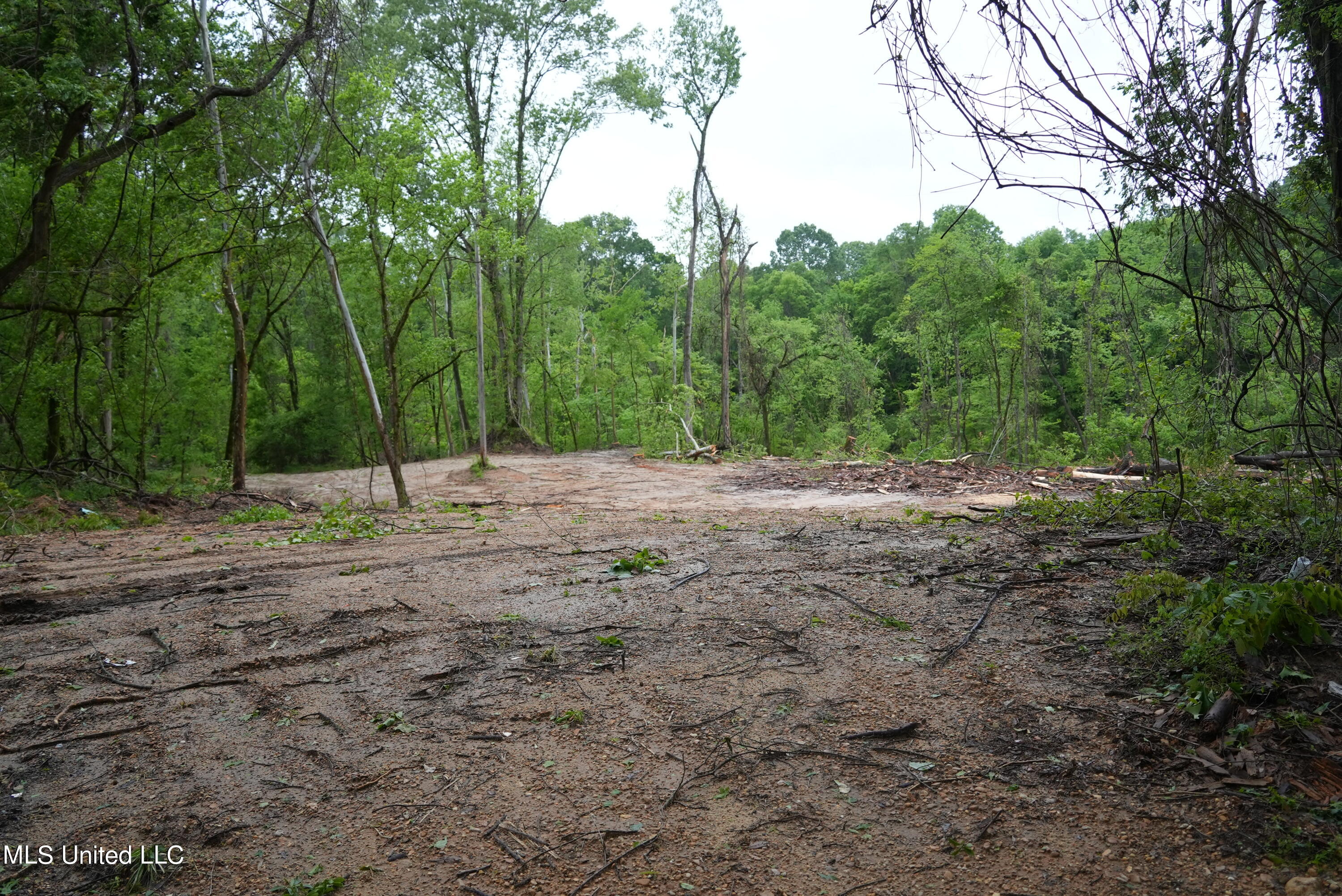 0 Old Port Gibson Road Port Gibson, MS 39150 - Photo 1 of 17 DSC00695