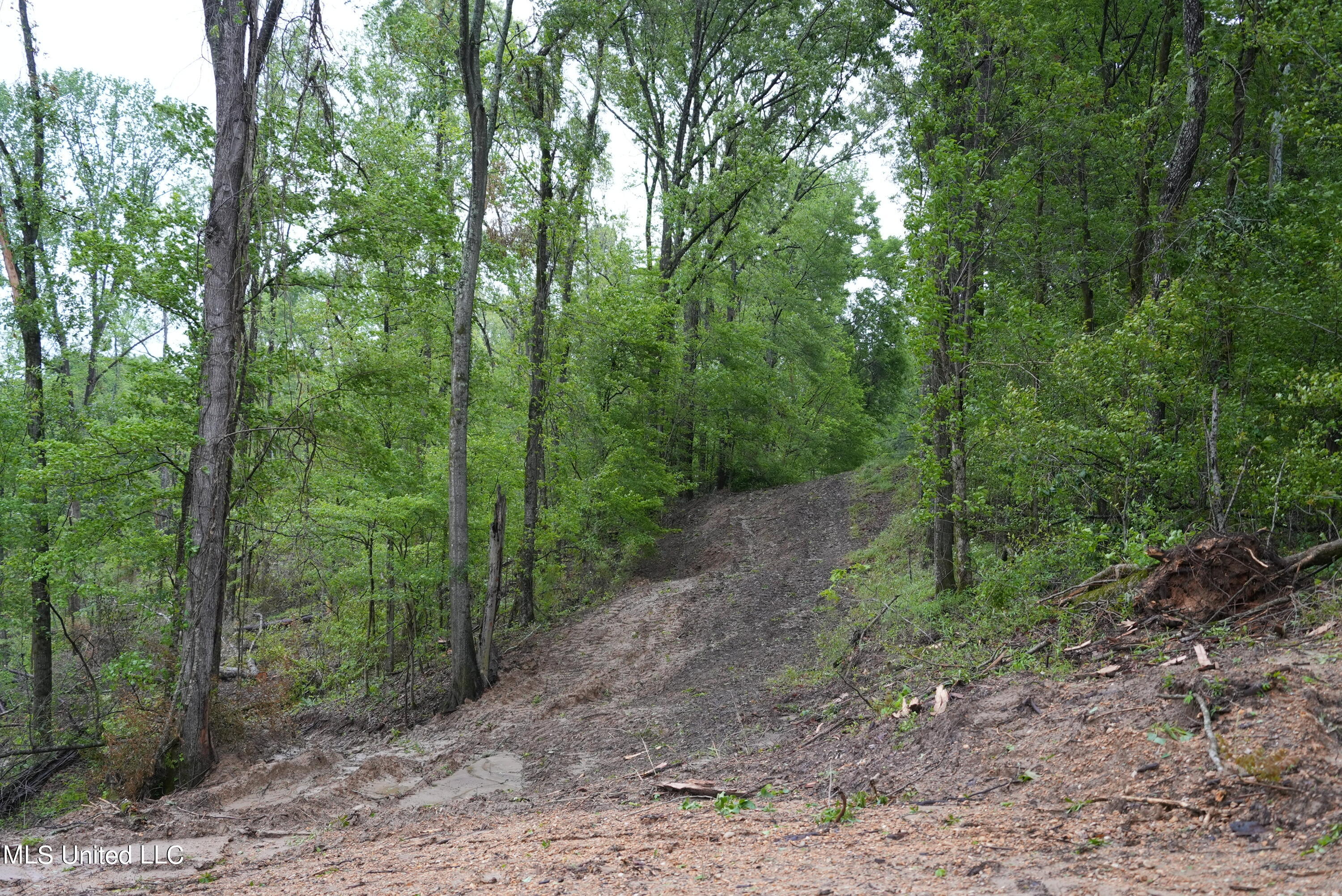 0 Old Port Gibson Road Port Gibson, MS 39150 - Photo 2 of 17 DSC00696
