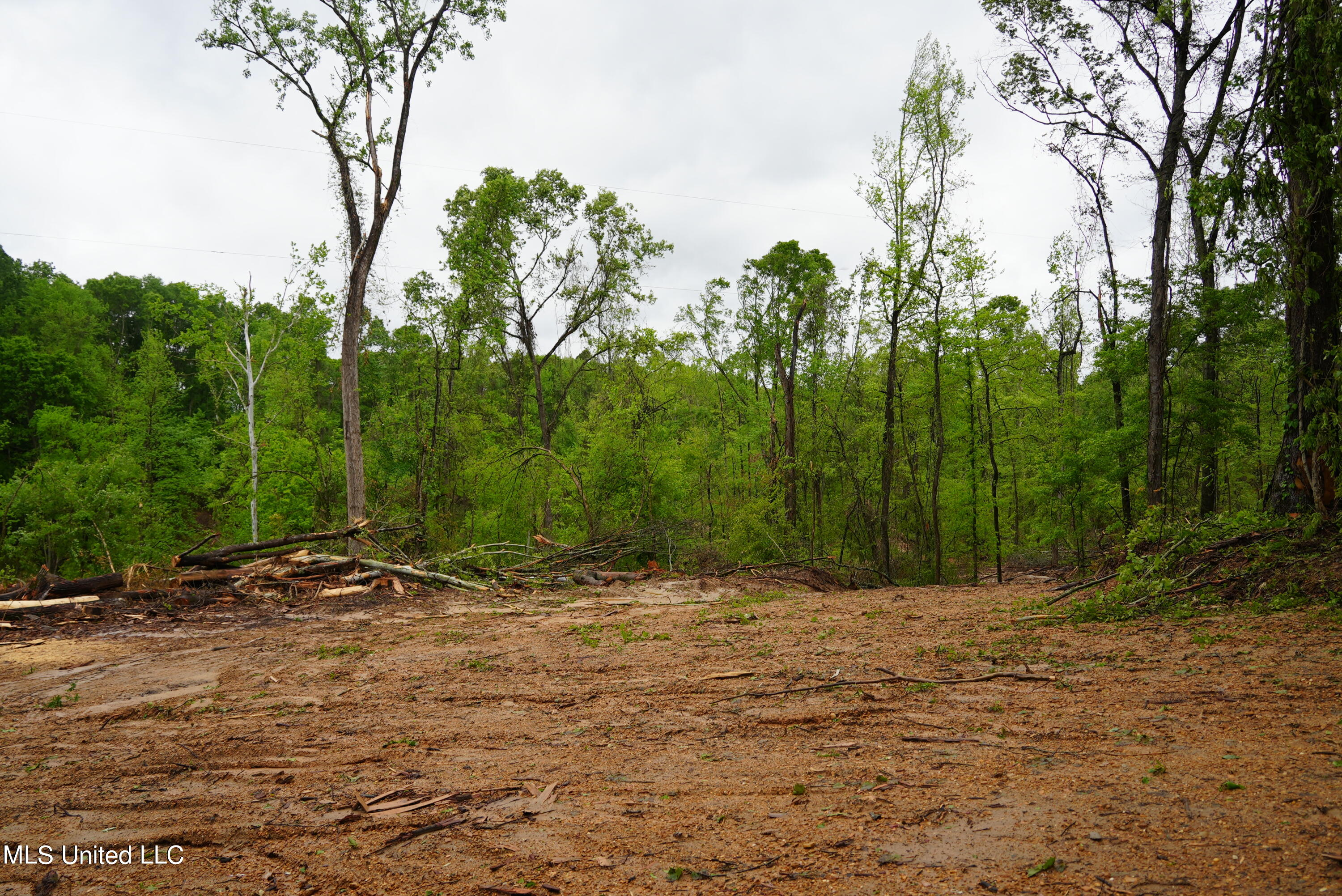 0 Old Port Gibson Road Port Gibson, MS 39150 - Photo 3 of 17 DSC00720
