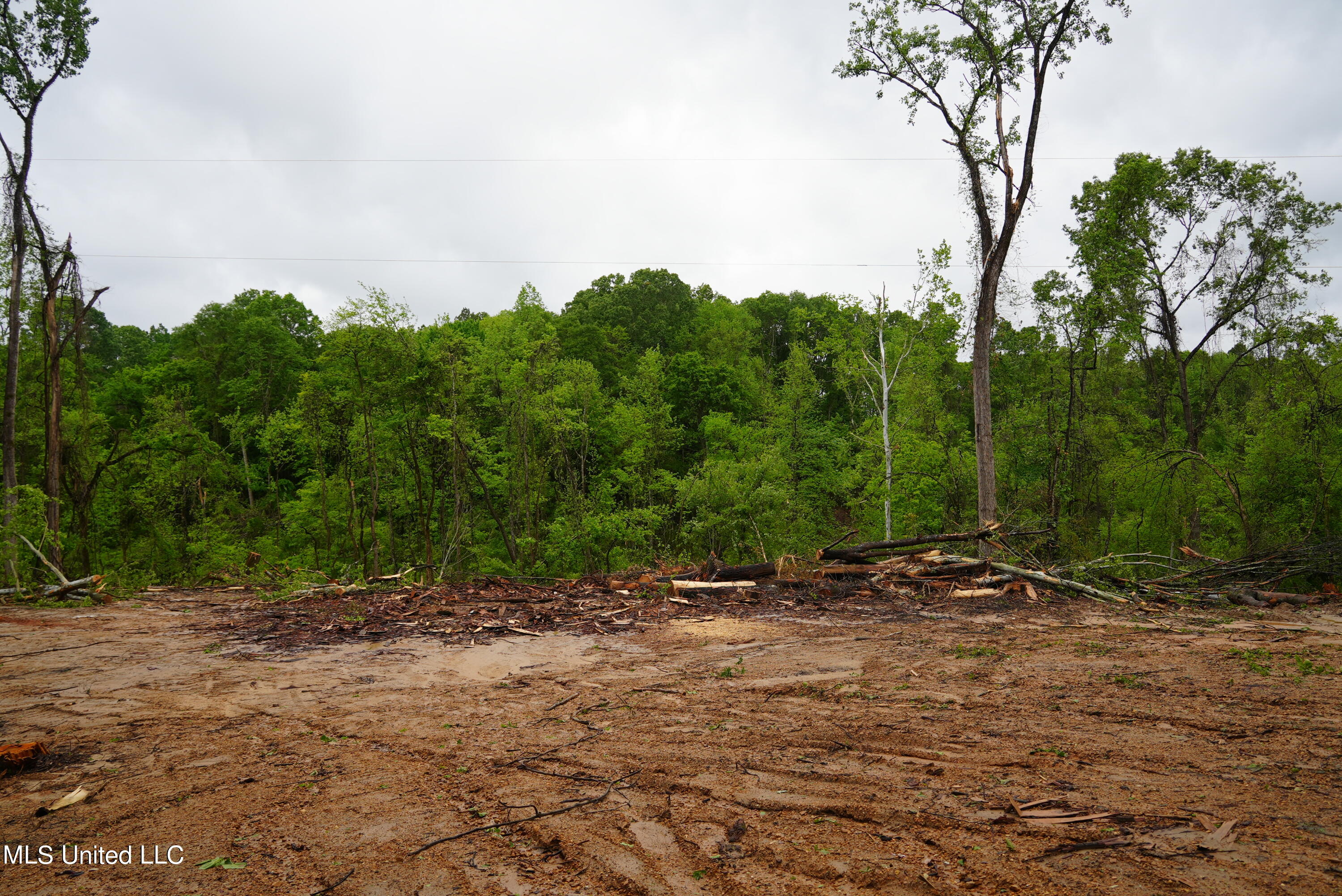 0 Old Port Gibson Road Port Gibson, MS 39150 - Photo 4 of 17 DSC00721