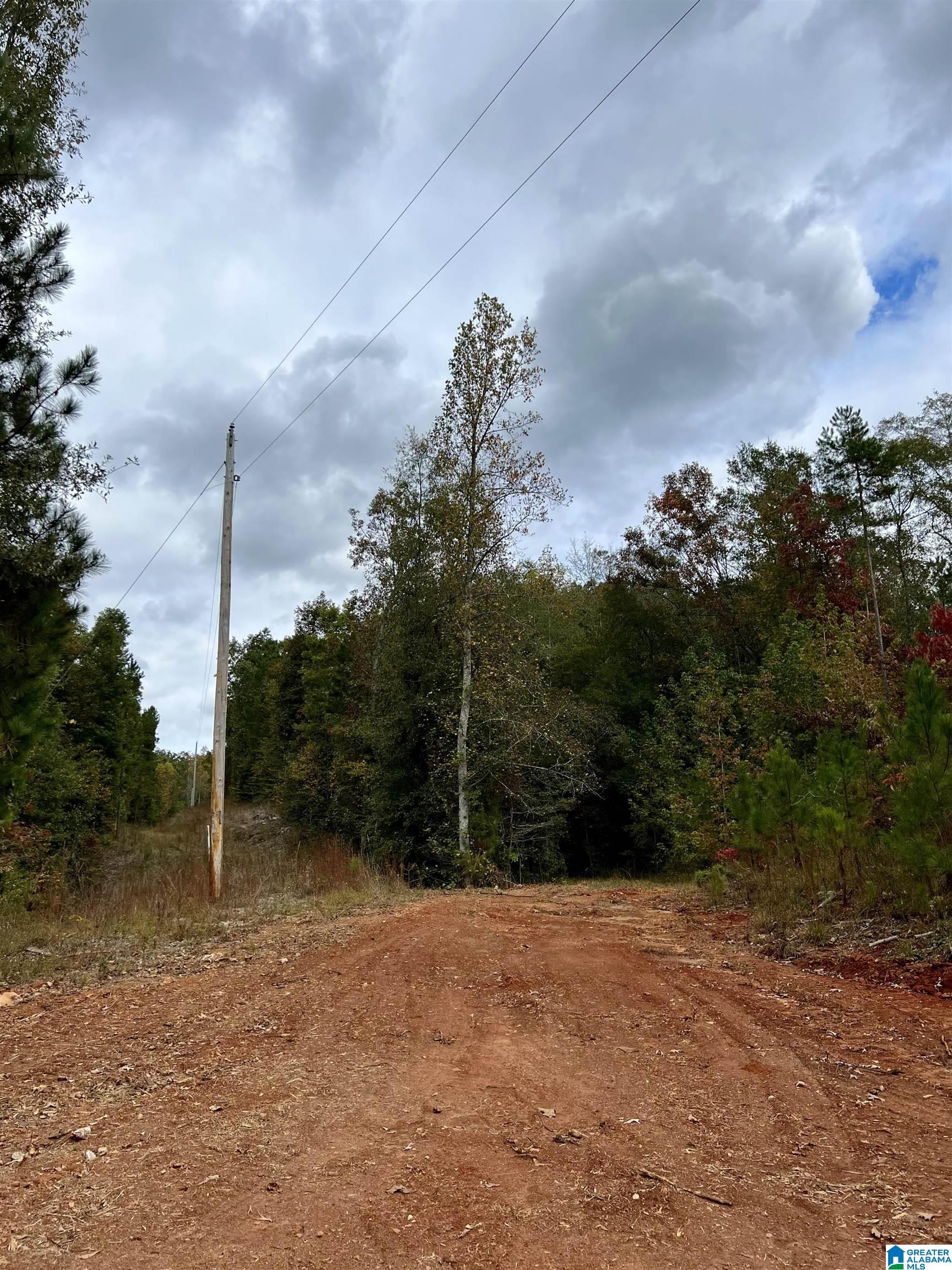 0 County Road 4 Wedowee, AL 36278 - Photo 14 of 24