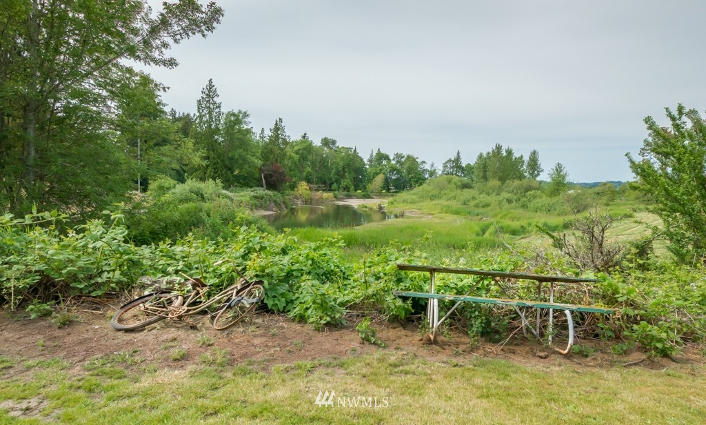 347 Newaukum Valley Road Chehalis, WA 98532 - Photo 24 of 25 a view of an outdoor space with a lake view