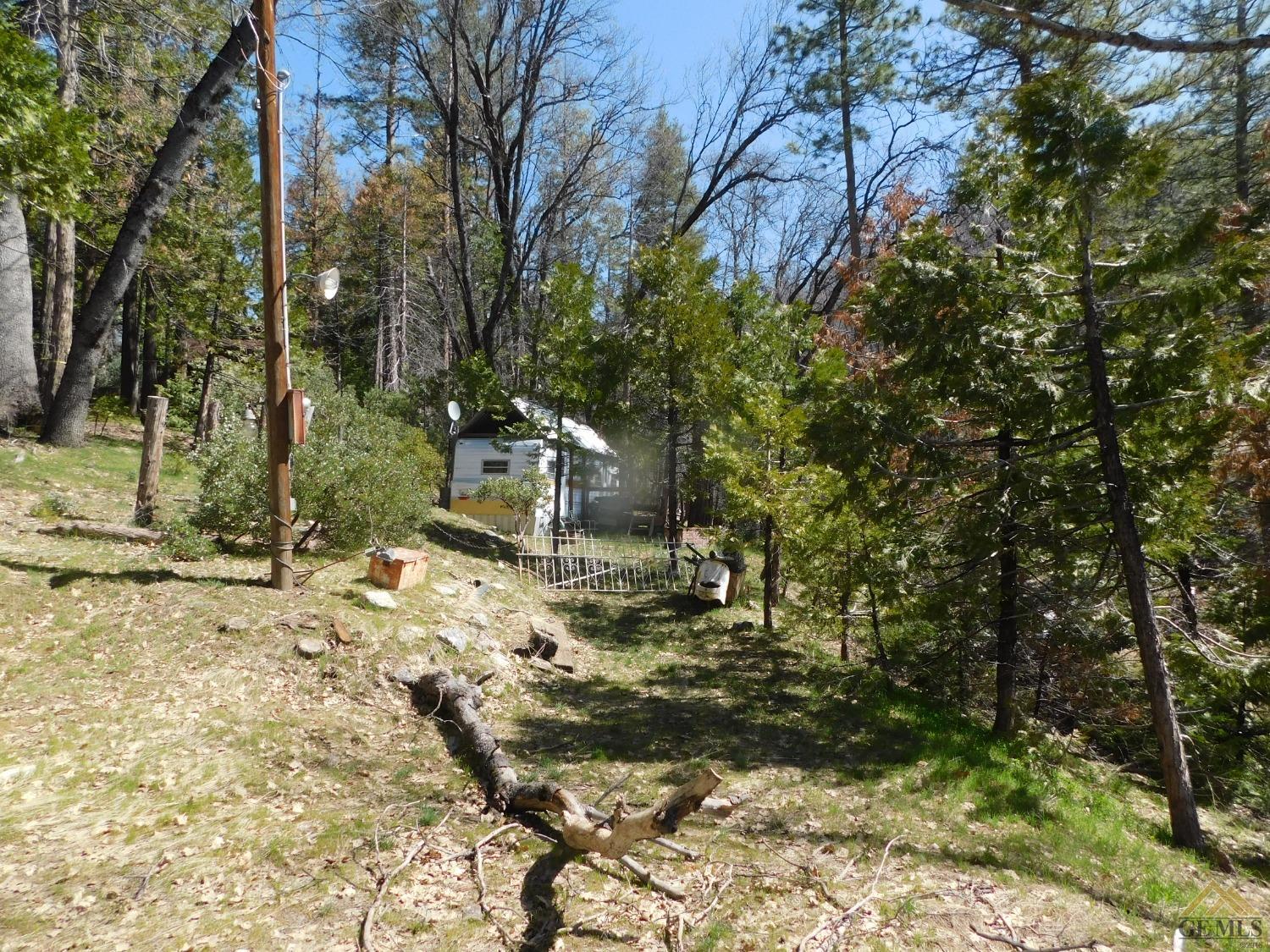 a backyard of a house with large trees