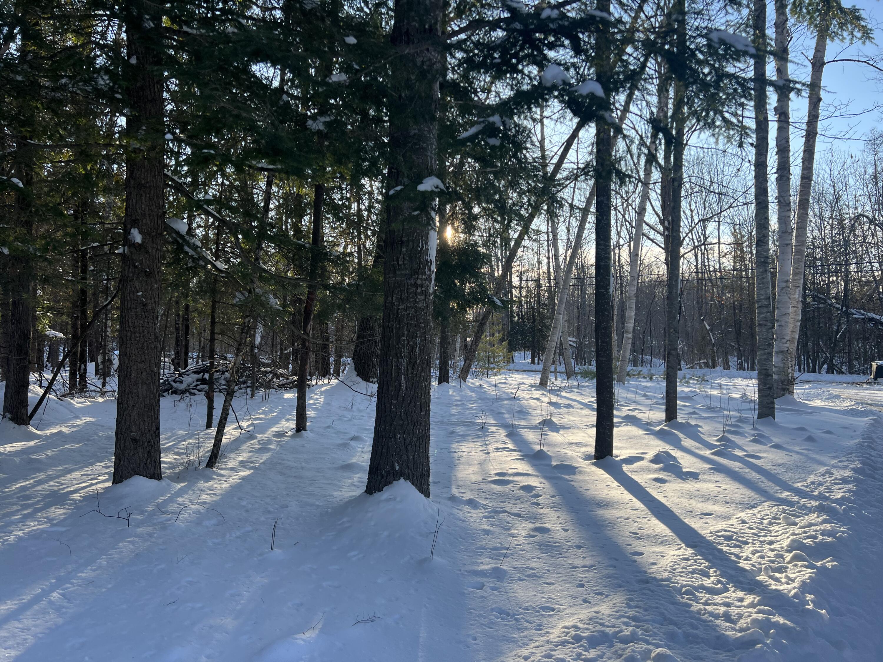 728 Black Road Kenduskeag, ME 04450 - Photo 48 of 48 image00007