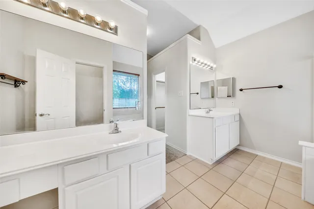 a bathroom with a sink a mirror and a shower