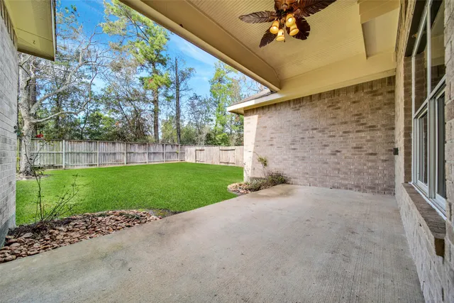 a view of a backyard with plants and a garden