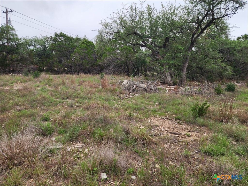 286 Flanders Fischer, TX 78623 - Photo 1 of 4 a backyard of a house with lots of green space