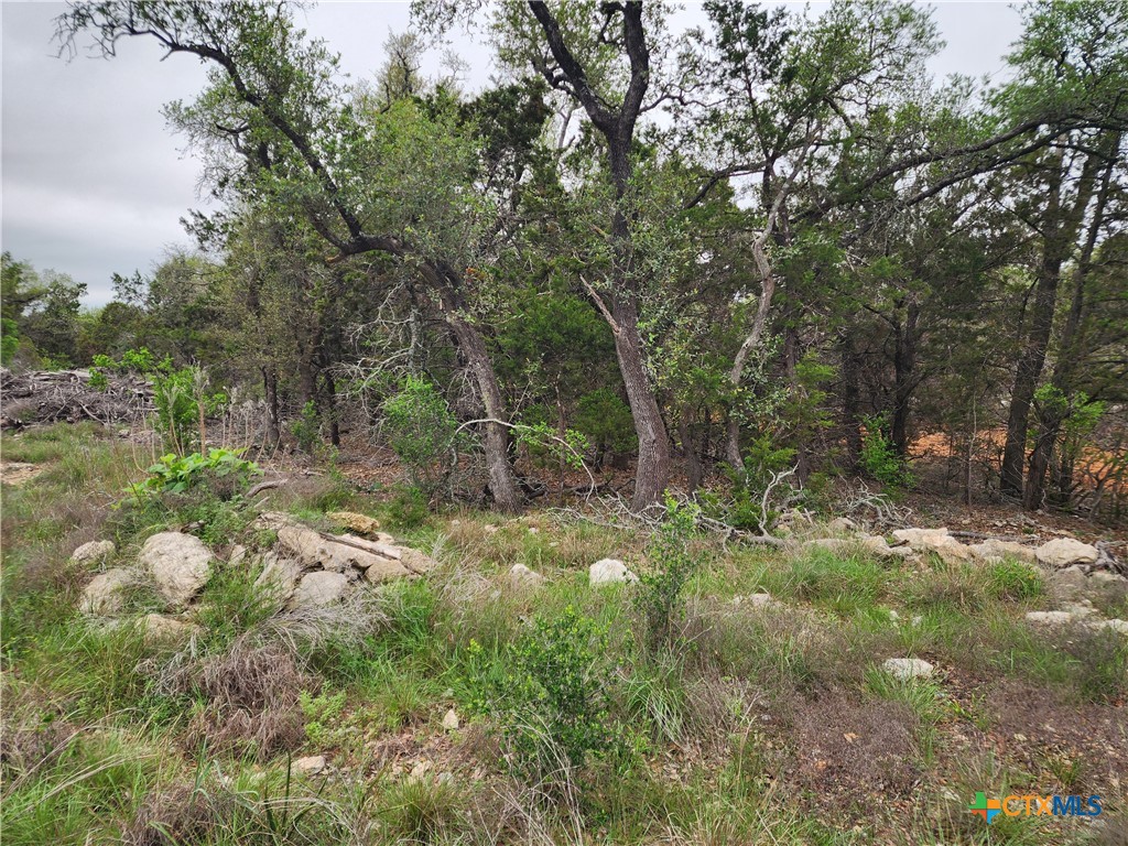 286 Flanders Fischer, TX 78623 - Photo 3 of 4 a backyard of a house with lots of green space