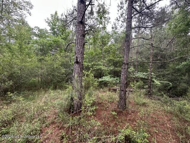 1048 Williamson Road Wesson, MS 39191 - Photo 5 of 11 land 06