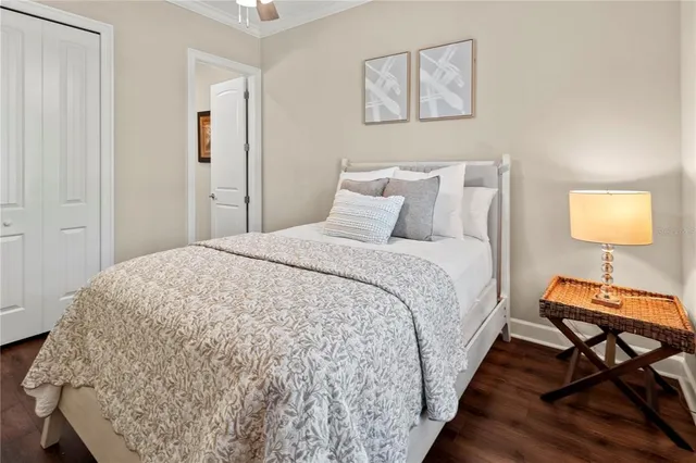 a view of a lake with couches and palm trees