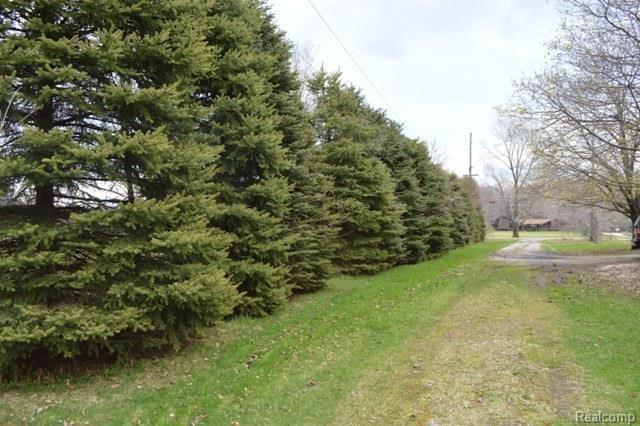 13475 Briar Hill Road Carleton, MI 48117 - Photo 4 of 4 Street View.jpg