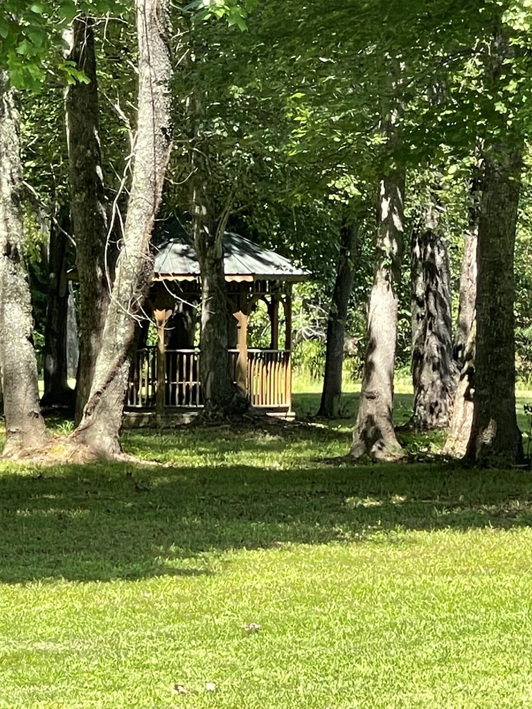 Lot 39 Ridges At Mill Creek Murphy, NC 28906 - Photo 11 of 13