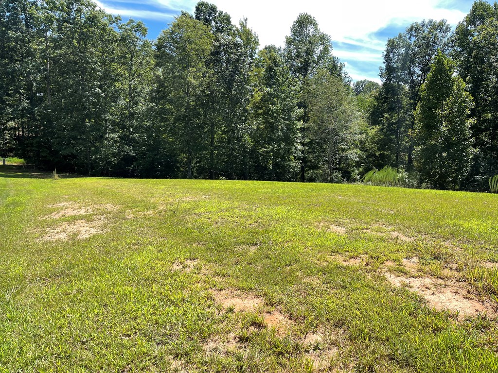 Lot 39 Ridges At Mill Creek Murphy, NC 28906 - Photo 5 of 13