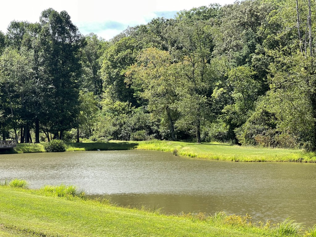 Lot 39 Ridges At Mill Creek Murphy, NC 28906 - Photo 9 of 13 Community lake