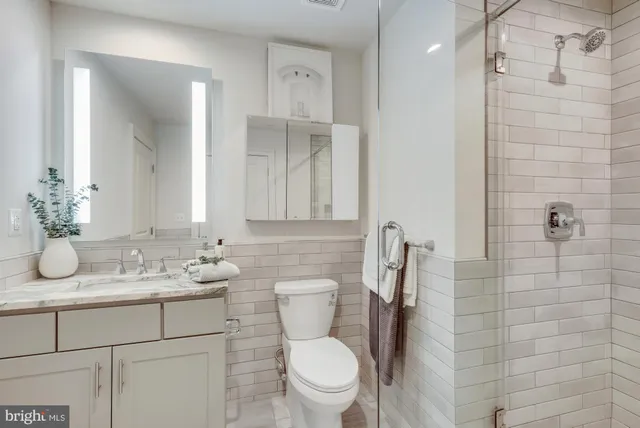 a bathroom with a shower and a toilet