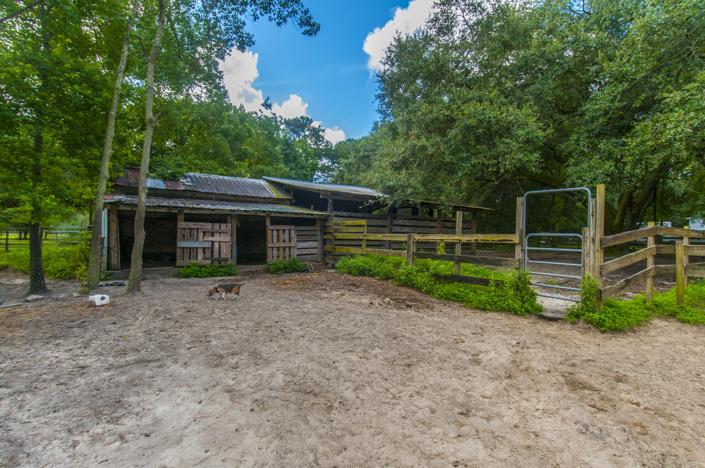 3486 State Rd S-10-1632 Johns Island, SC 29455 - Photo 50 of 72 _DSC6269